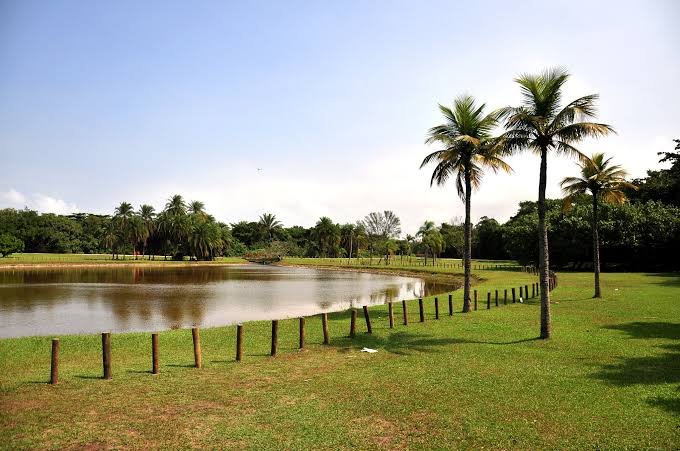 bosque-da-barra